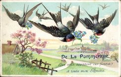 Fantasy CPA Of Pommeraye they bring these flowers and all my aminite to you (birds)
