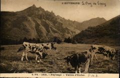 Landscape CPA Valley of Hell Auvergne Puy de Sancy (cows)