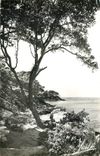 CPA Noirmoutier Vendee anse rouge et entree de la grotte St Philibert Bateau