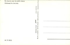 REPRO Du mourron pour les petits oiseaux 