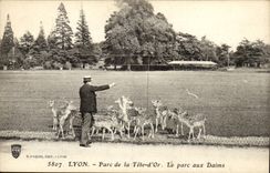 Lyon CPA Park of the Gold Head the park to the dains