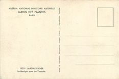CPA Musee National d'Histoir Naturelle Jardin des Plantes Paris Jardin d'Hiver le Marigot avec les V