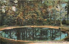 CPA Saint Cloud le Parc la Mare aux Biches 