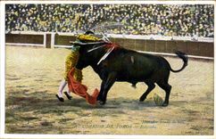 CPA Bullfight of Toros Estocada (bull bullfight)
