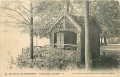 CPA Environs de Plombieres La Feuillee Dorothee 