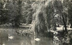 CPA Vittel Vosges Le Parc et les Cygnes 