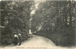 CPA Honfleur Cote de Grace Allee des Bruyeres 