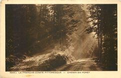 CPA La Franche comte Pittoresque Chemin en Foret 