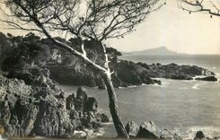 CPA La Corniche d'Or Var Les Calanques de Santa Lucia 