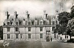 CPA En Touraine Blois Loir et Cher Le Chateau Facade Louis XII 