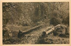 CPA Petit Trianon Pont rustique 