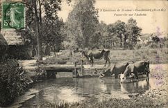 Surroundings of Meulan CPA Condecourt Footbridge on the Bus shelter (cows)