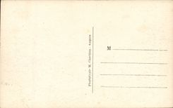 Angers CPA Palm plantation of the botanical garden