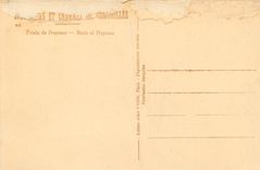 CPA Versailles Bassin de Neptune 