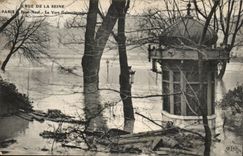 Believed of the Seine CPA Paris Pont New the Gallant Green floods
