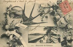 CPA Souvenir de Cannes 