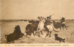 CPA Vayson Paul Les Taurreaux de Camargue Marseille Musee de Longchamp 
