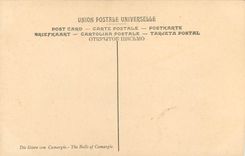 CPA Vayson Paul Les Taurreaux de Camargue Marseille Musee de Longchamp 