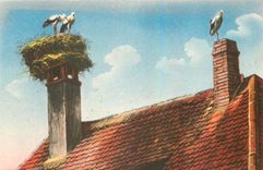 CPA Nid de Cigognes Alsace