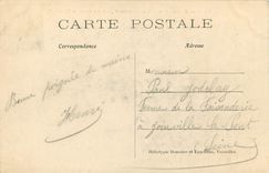 CPA Parc de Versailles Les parterres le Jour des Grandes eaux 