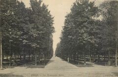 CPA Reims Les Promenades Basses 