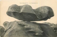 CPA Ploumanach Le Champignon 