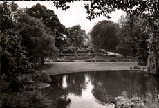 Angers CPA the botanical garden and the lake