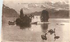 CPA Charles Ile de Salagnon et les Dents du Midi Cygnes
