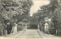 CPA Bois de Vincennes Iles Daumesnil Le Pont du Chalet 