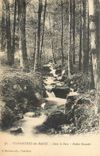 CPA Plombieres les Bains Dans le Parc Petite Cascade 