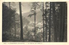 CPA Plombieres les Bains Le Matin au Breuil 
