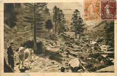 CPA Les Pyrenees Sur la Route Lac d'Estom