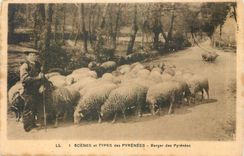 CPA Scenes et Types des Pyrenees Berger des Pyrenees Moutons Folklore