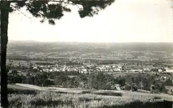 CPM Arlanc Puy de Dome Station Touristique ses forets de Pins vue generale d'Arlanc Bourg 