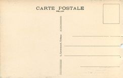 CPA Les Grands Chateaux des Bords de la Loire Amboise Le Chateau vu d'avion 