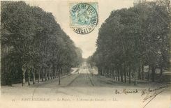 CPA Fontainebleau Le Palais l'Avenue des Cascades 