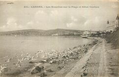 CPA Cannes Les Mouettes sur la Plage et Hotel Cariton 