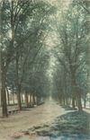 CPA Reims Allee 