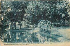 CPA Vichy Bassin des Cygnes dans le Nouveau Parc 