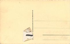 CPA Lourdes La Basilique et le Fer a Cheval 