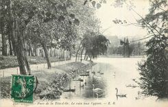 CPA Lyon Parc de la tete d'Or Le coin aux Cygnes 