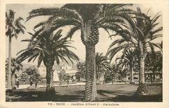CPA Nice Jardins Albert I Palmiers 