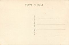 CPA Nice Baie des Anges Vue entre les Pins 