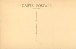 CPA Pau Le Chateau Facade Principale 