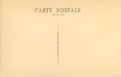 CPA Pau Le Chateau National 