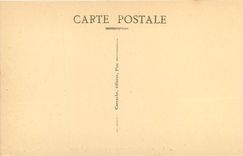 CPA Pau Le Chateau vu de la Basse Plante 