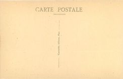 CPA Pau Le Chateau Henri IV 