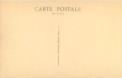 CPA Pau Le Chateau Henri IV et le Gave 