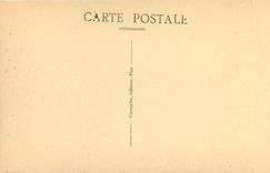 CPA Pau Le Chateau Henri IV chez le meinier Michaud 