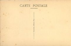 CPA Pau B P La Chaine des Pyrenees vue de la Terrasse Puest du Chateau Henri IV 